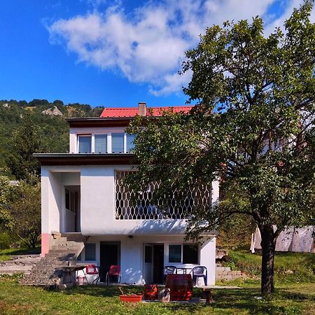 Guesthouse Mirkovic Pluzine Luaran gambar