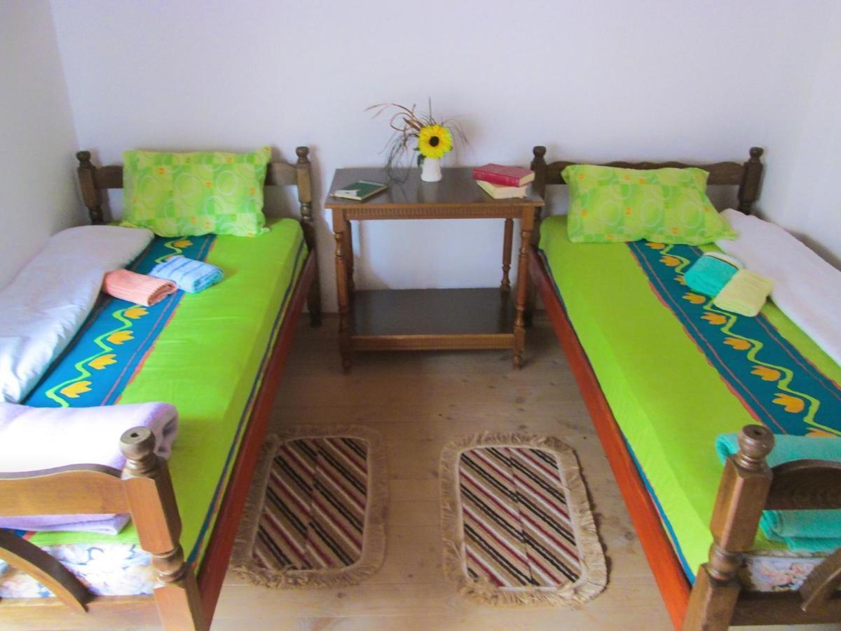 Guesthouse Mirkovic Pluzine Luaran gambar