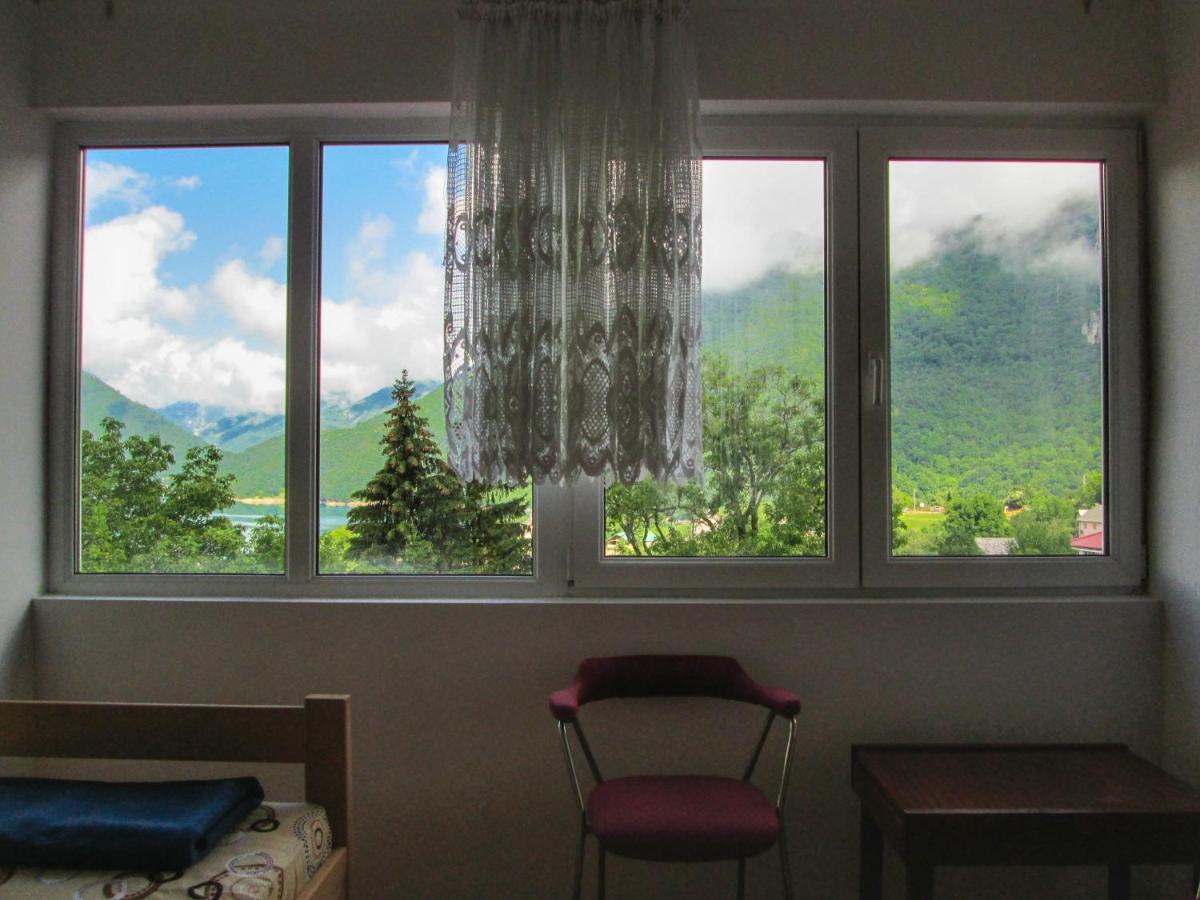 Guesthouse Mirkovic Pluzine Luaran gambar