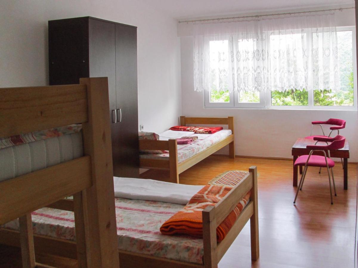 Guesthouse Mirkovic Pluzine Luaran gambar