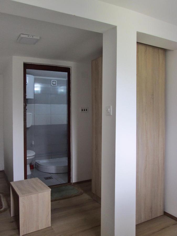 Guesthouse Mirkovic Pluzine Luaran gambar