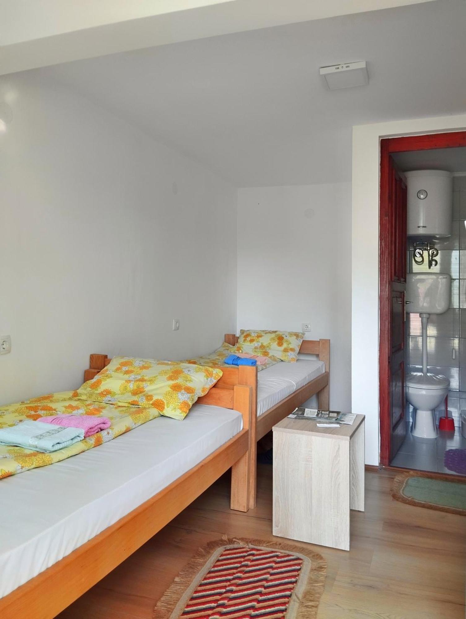 Guesthouse Mirkovic Pluzine Luaran gambar