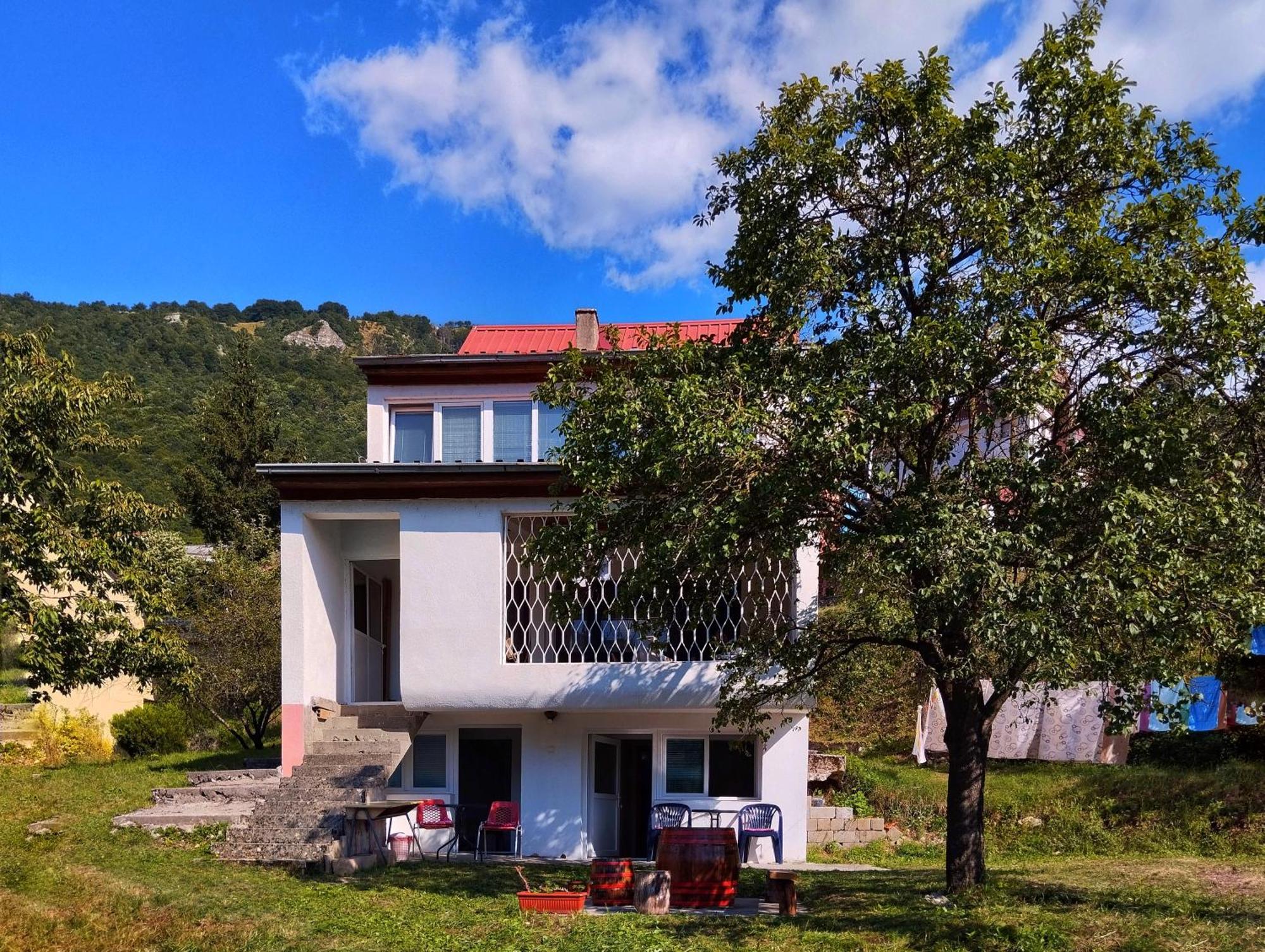 Guesthouse Mirkovic Pluzine Luaran gambar