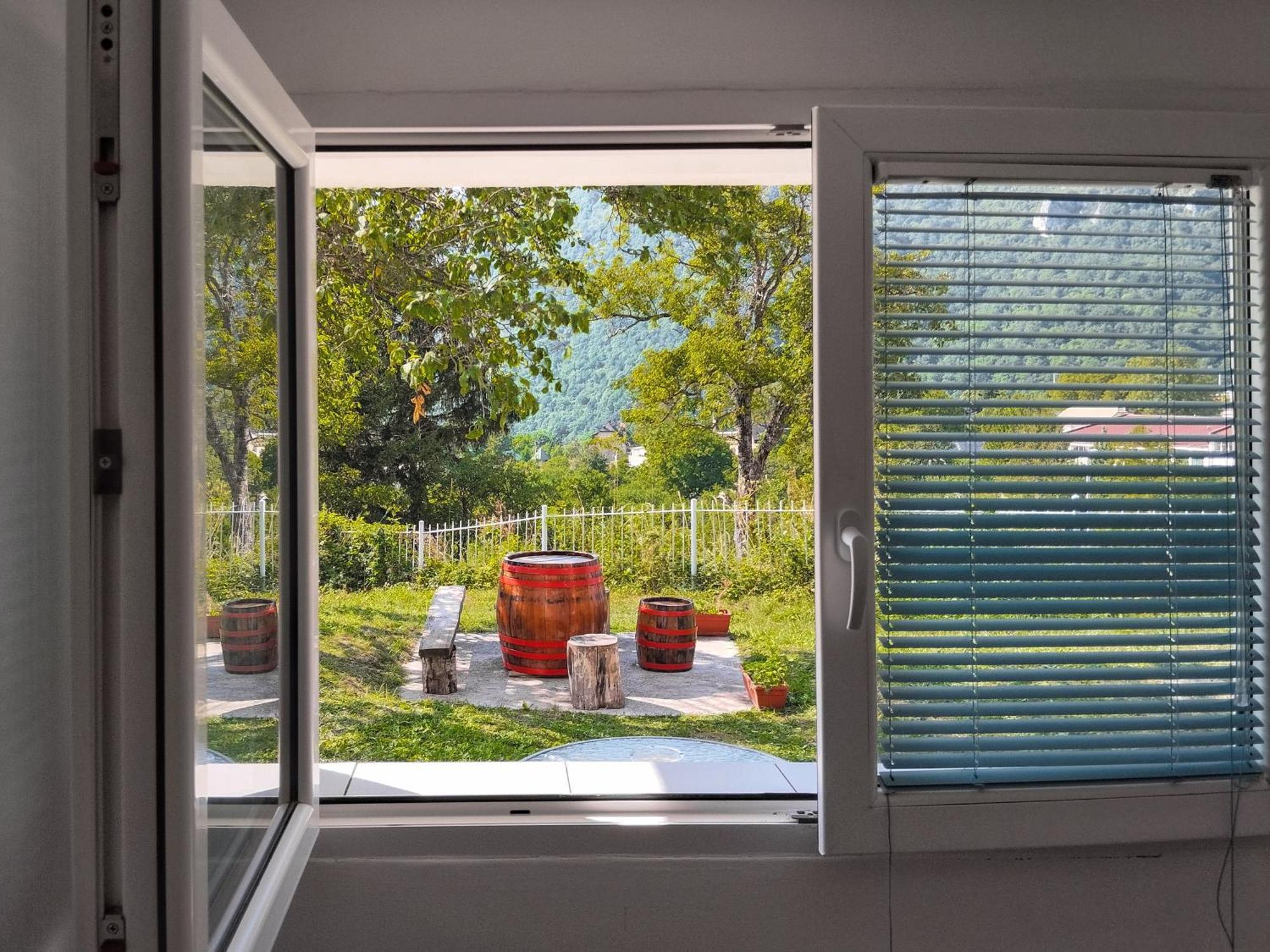 Guesthouse Mirkovic Pluzine Luaran gambar