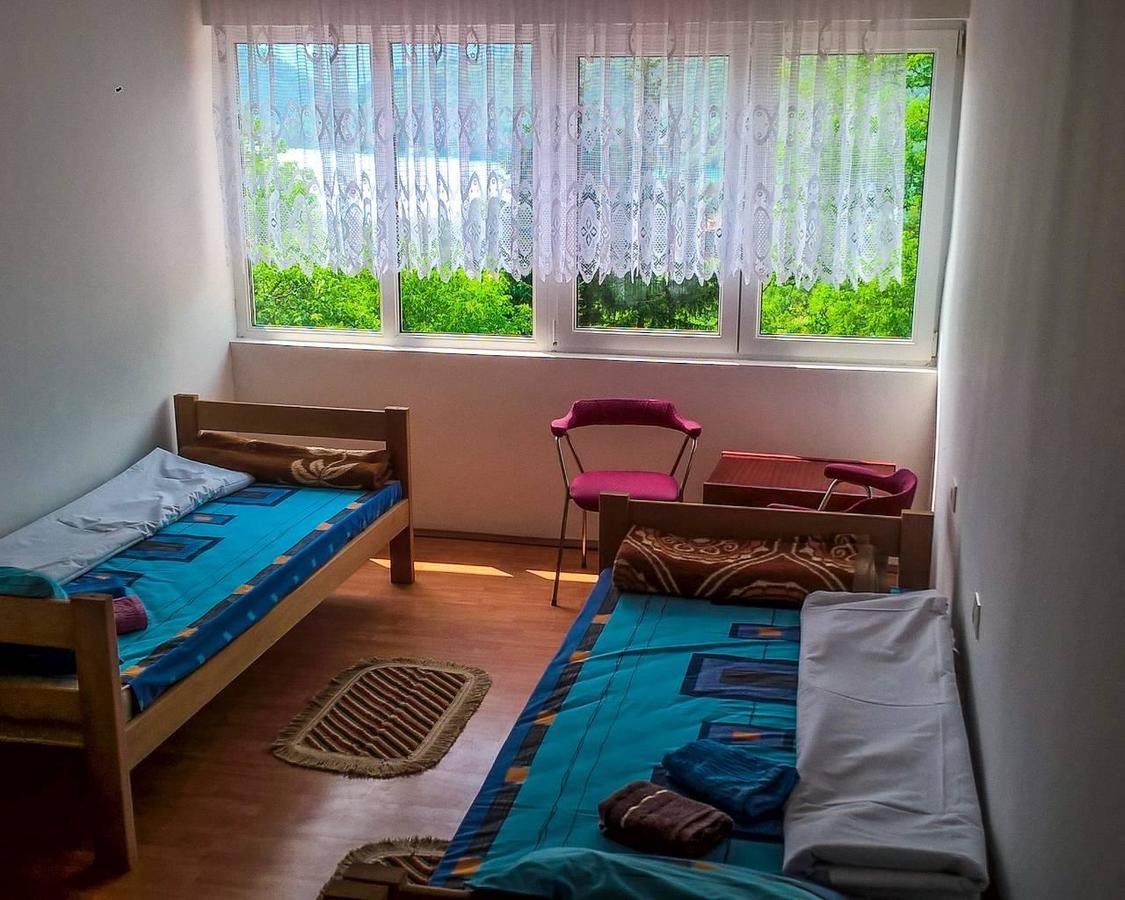 Guesthouse Mirkovic Pluzine Luaran gambar