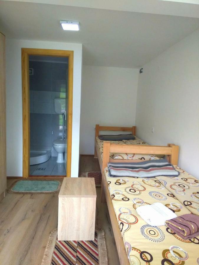 Guesthouse Mirkovic Pluzine Luaran gambar
