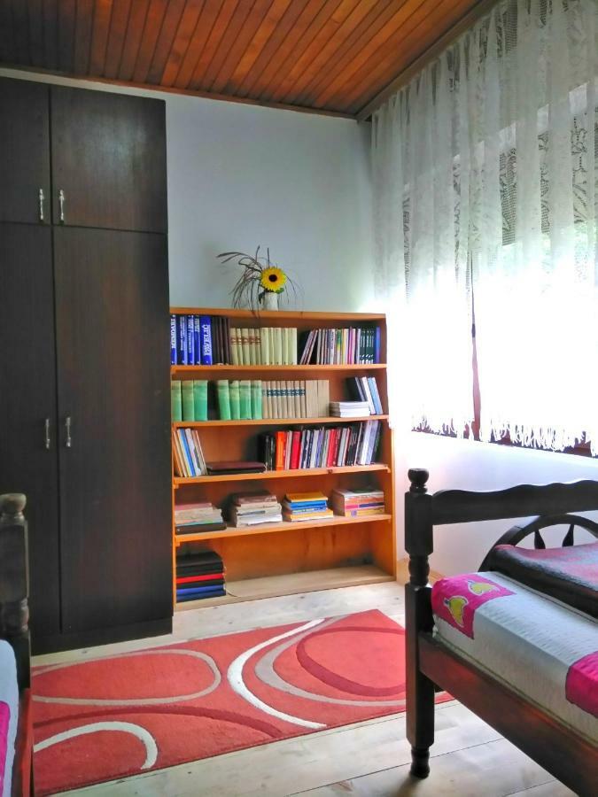 Guesthouse Mirkovic Pluzine Luaran gambar